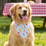 Pupsicle Bandana - Dog Days of Summer