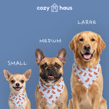 Hot Dog Bandana - Dog Days of Summer